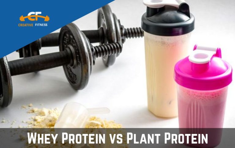 Whey Protein vs Plant Protein | Which one is Better for You?